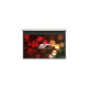 EliteScreens Evanesce B Economy, Motorleinwand(110