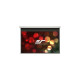 EliteScreens Evanesce B Economy, Motorleinwand(120