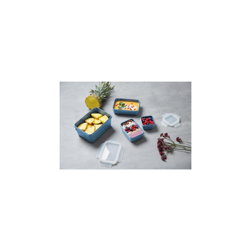 Emsa CLIP & CLOSE Color Frischhaltedose 2,2 Liter(blau/transparent, rechteckig, mit Deckel)