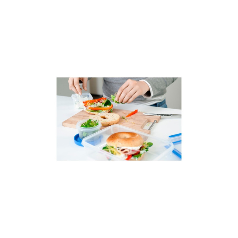 Emsa CLIP & CLOSE Frischhaltedose(transparent/blau, 0,55 Liter, Klassikformat)