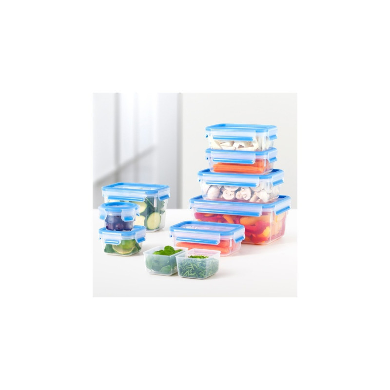 Emsa CLIP & CLOSE Frischhaltedose(transparent/blau, 2,3Liter, Großformat)