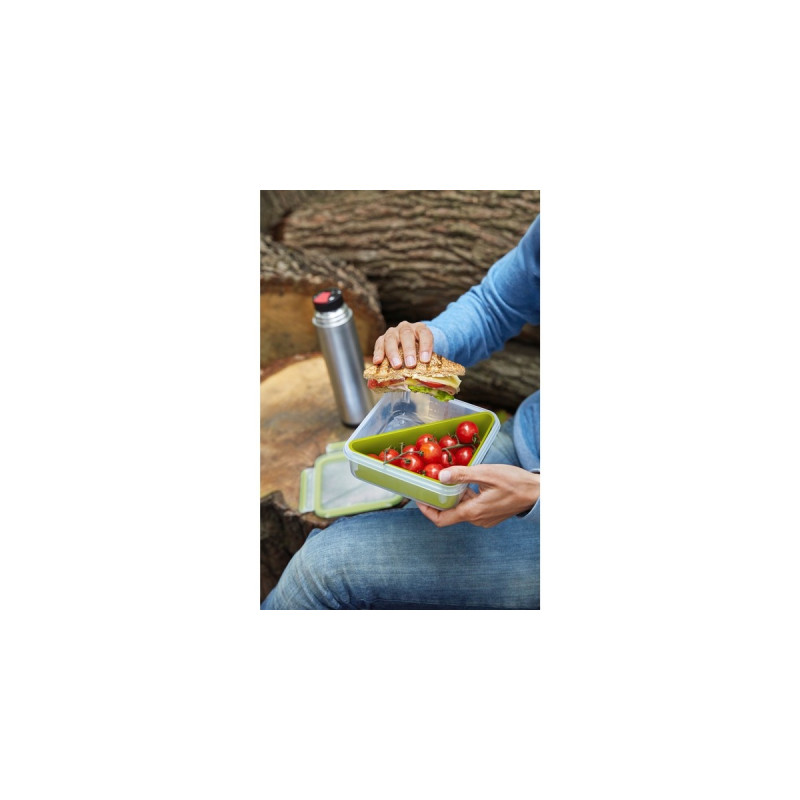 Emsa CLIP & GO Sandwichbox 0,85 Liter, Lunch-Box(hellgrün/transparent, mit Einsatz in typischer Dreiecksform)