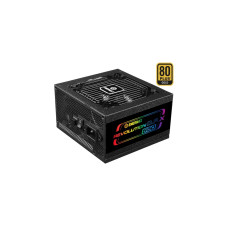 Enermax REVOLUTION D.F.X 850W, PC-Netzteil(schwarz, 2x 12VHPWR, 4x PCIe, Kabel-Management, 850 Watt)