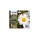 Epson Tinte Multipack 18 (C13T18064012)(Claria Home)