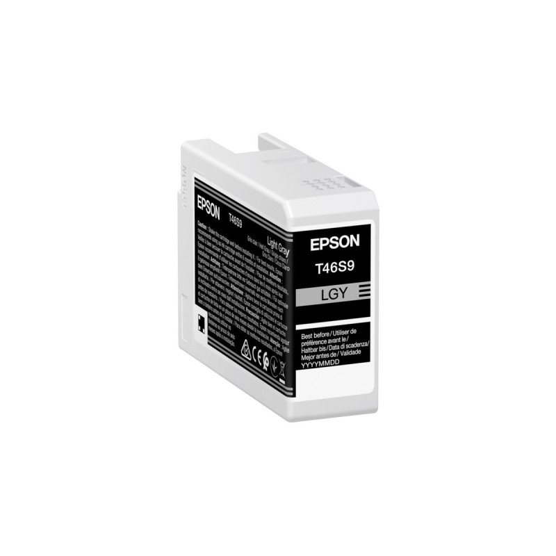 Epson Tinte hellgrau T46S9 (C13T46S900)(Ultrachrome PRO 10)