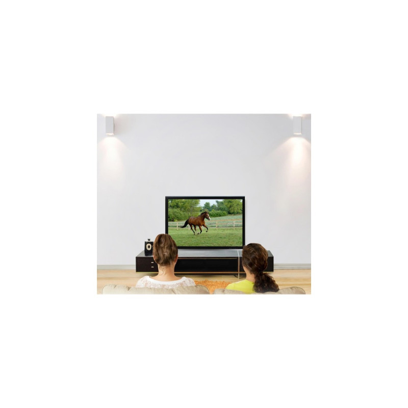 Ergotron Glide-Wandhalterung(schwarz, Outlet)