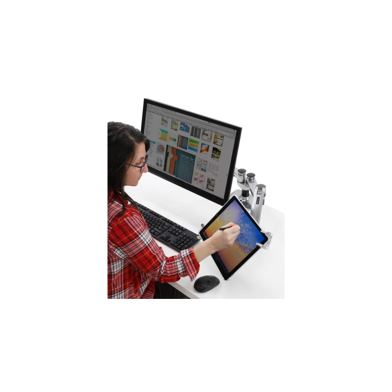 Ergotron Verriegelbare Tabletbefestigung, Sicherung(silber)