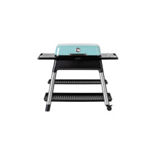 Everdure FURNACE Gasgrill, Mint(mint, 8 kW )