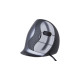 Evoluent VerticalMouse D, Maus(schwarz/silber, Large, RH)
