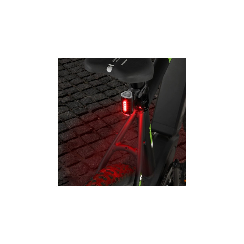 FISCHER Fahrrad Akku-Rücklicht Twin, LED-Leuchte