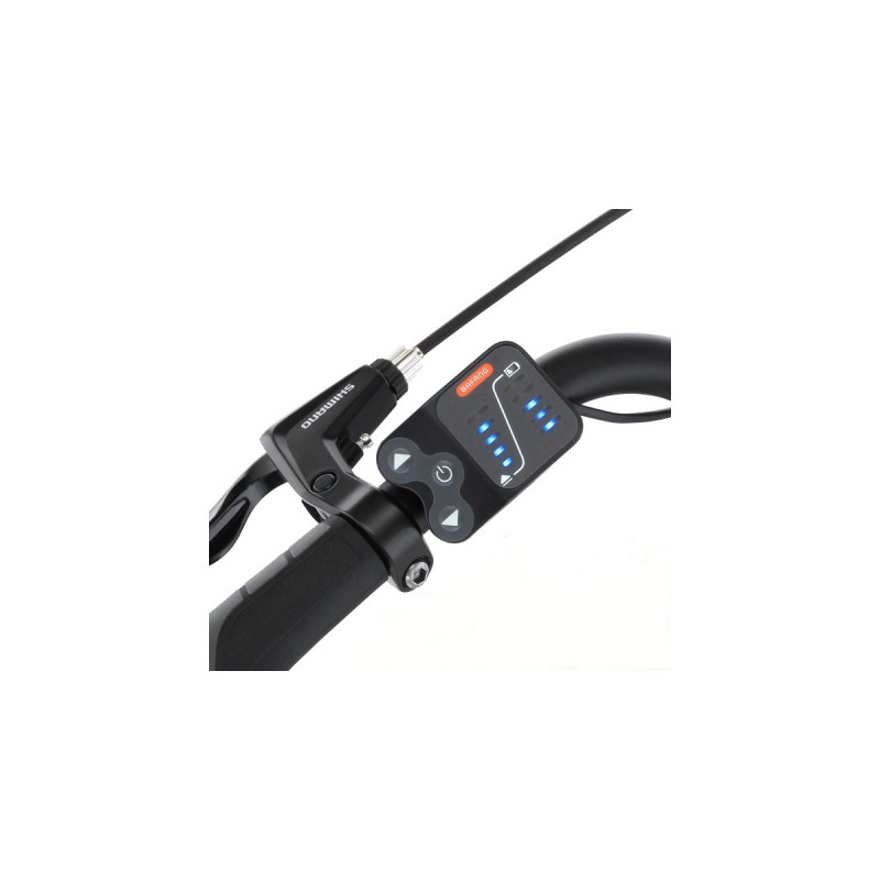 FISCHER Fahrrad CITA 1.0, Pedelec(rot (glänzend), 28