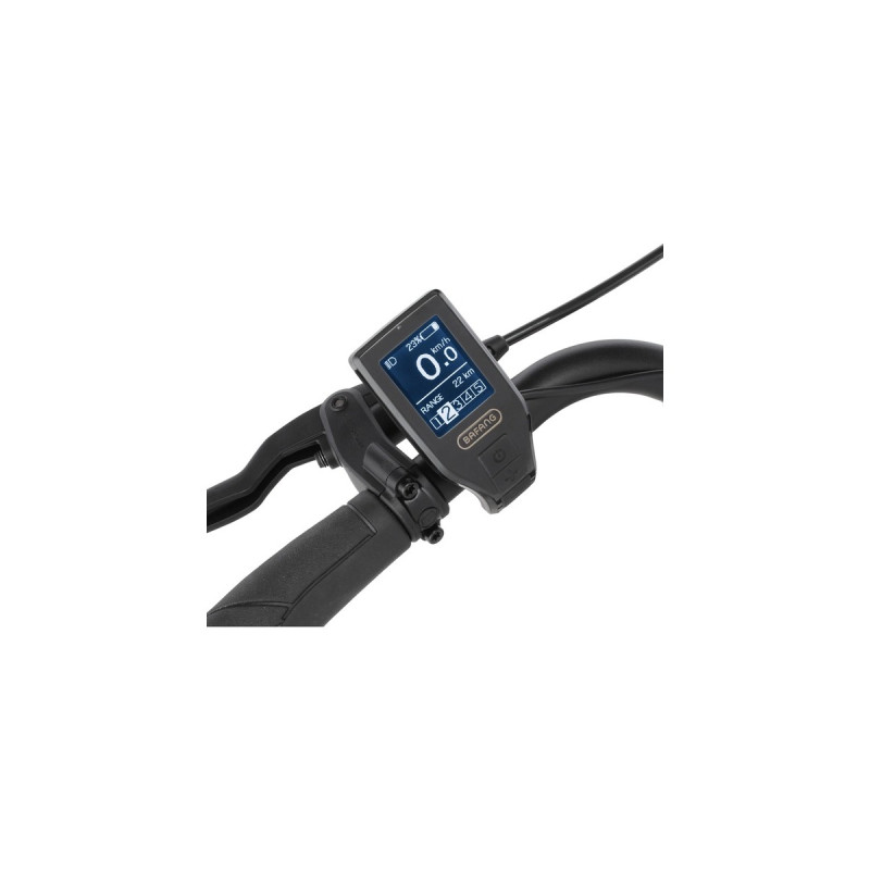 FISCHER Fahrrad CITA 4.1i, Pedelec(schwarz (matt), 44 cm Rahmen, 28