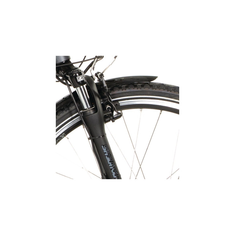 FISCHER Fahrrad CITA ECU1401, Pedelec(anthrazit, 44 cm Rahmen, 28
