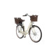 FISCHER Fahrrad CITA ER 1804, Pedelec(weiß, 48 cm Rahmen, 28
