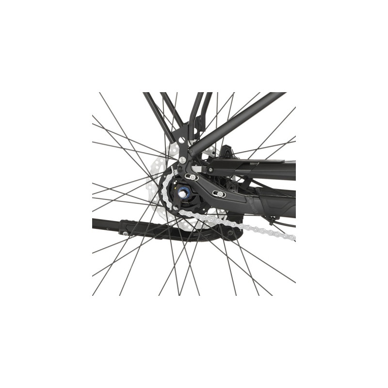 FISCHER Fahrrad Cita 7.0i, Pedelec(hellgrau, 28