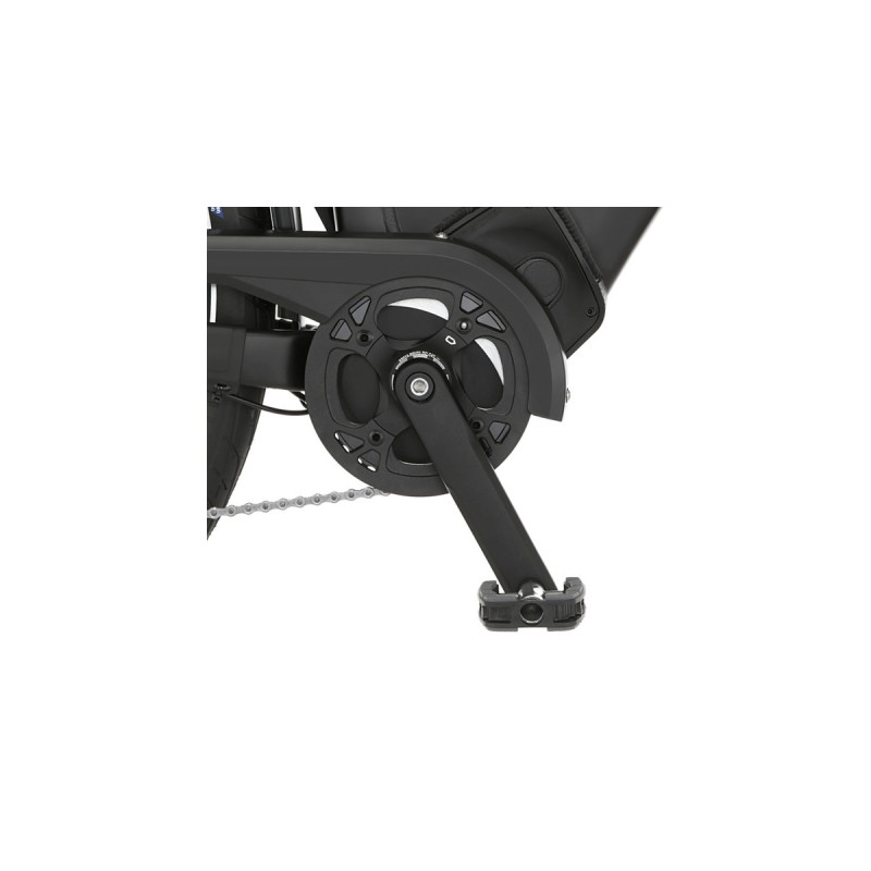 FISCHER Fahrrad Cita 8.0i, Pedelec(schwarz, 28