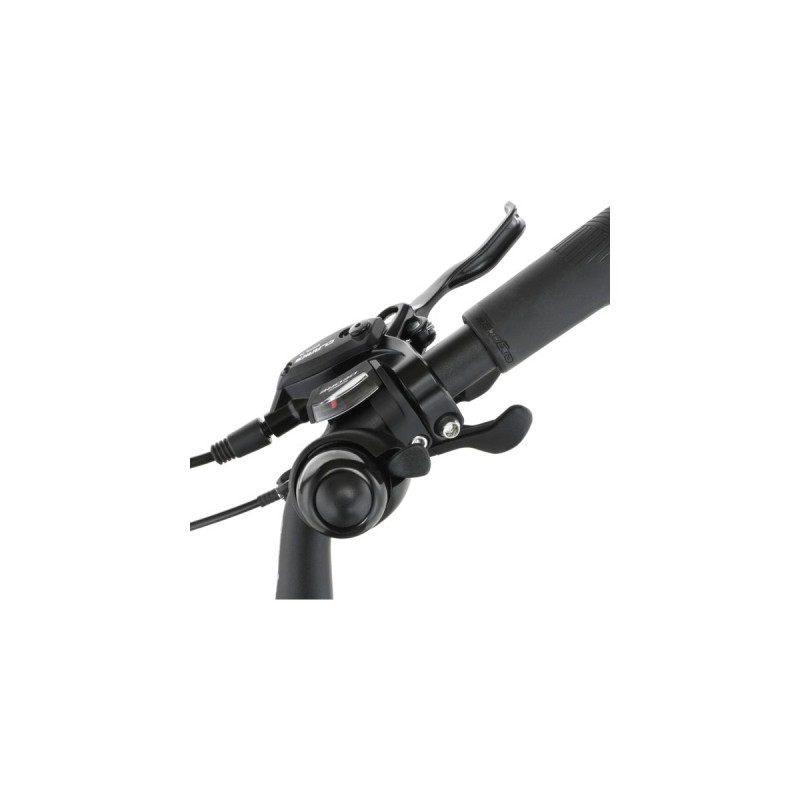 FISCHER Fahrrad Cita 8.0i, Pedelec(schwarz, 28