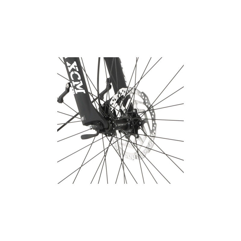 FISCHER Fahrrad Cita 8.0i, Pedelec(schwarz, 28