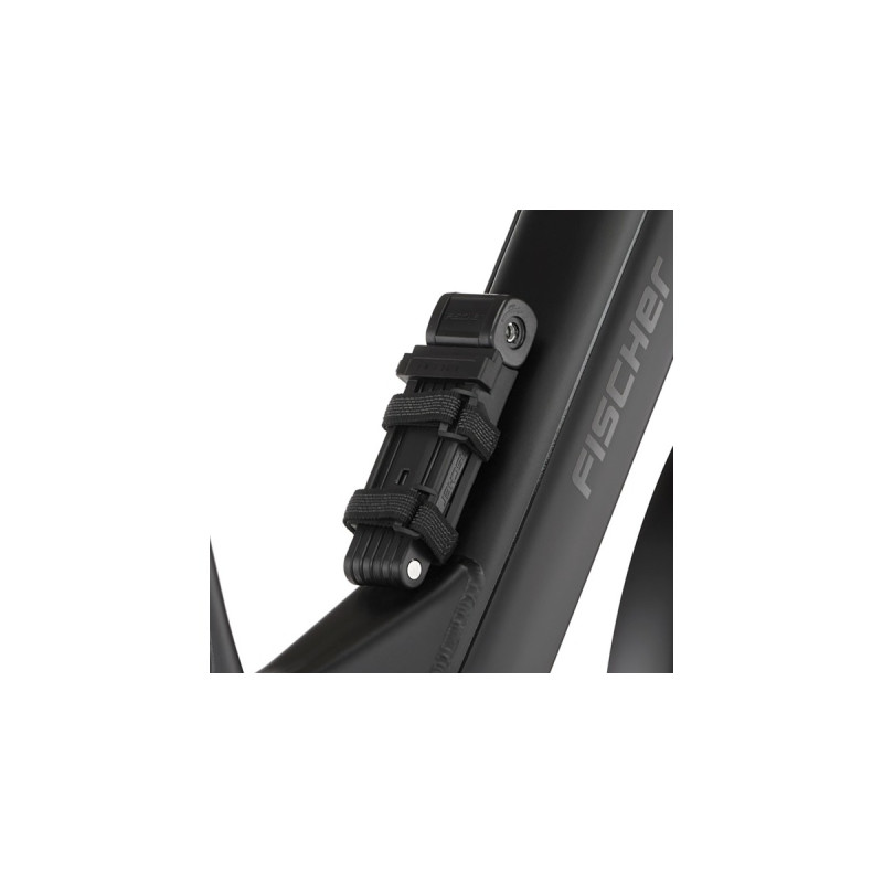 FISCHER Fahrrad Cita 8.0i, Pedelec(schwarz, 28