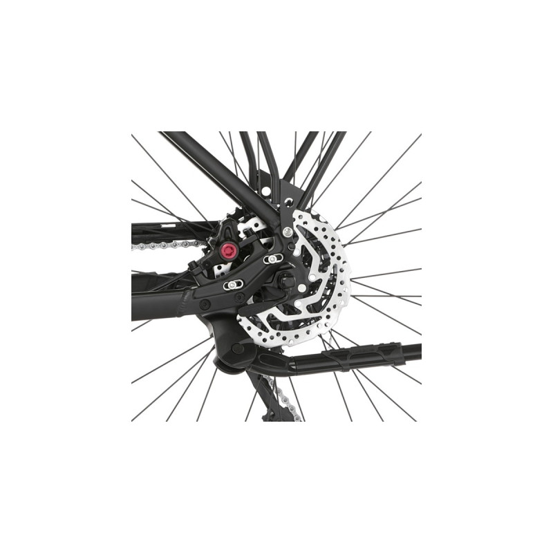 FISCHER Fahrrad Cita 8.0i, Pedelec(schwarz, 28