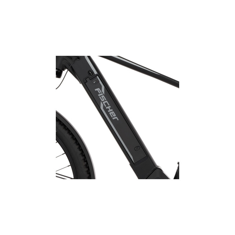 FISCHER Fahrrad TERRA 5.0i, Pedelec(schwarz (matt), 29