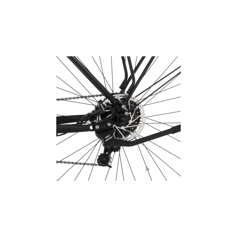 FISCHER Fahrrad TERRA 5.0i, Pedelec(schwarz (matt), 29