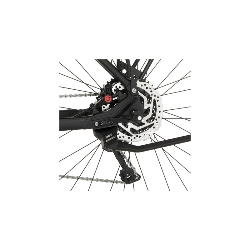 FISCHER Fahrrad Terra 8.0i, Pedelec(schwarz (matt), 29