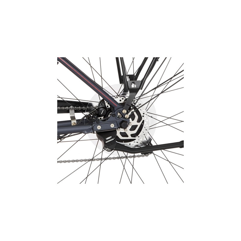 FISCHER Fahrrad Viator 1.0 Damen, Pedelec(anthrazit, 44 cm Rahmen, 28