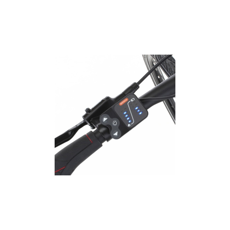 FISCHER Fahrrad Viator 1.0, Pedelec(anthrazit, 28