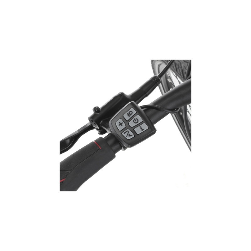 FISCHER Fahrrad Viator 2.0 Damen, Pedelec(anthrazit, 282, 44 cm Rahem)