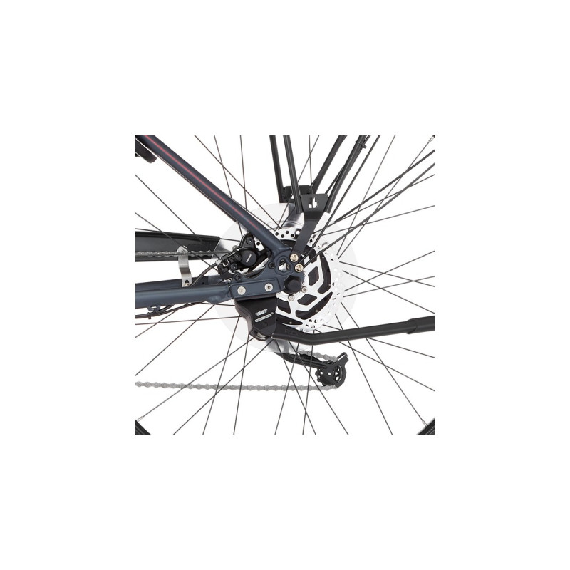 FISCHER Fahrrad Viator 2.0 Damen, Pedelec(anthrazit, 44 cm Rahmen, 28