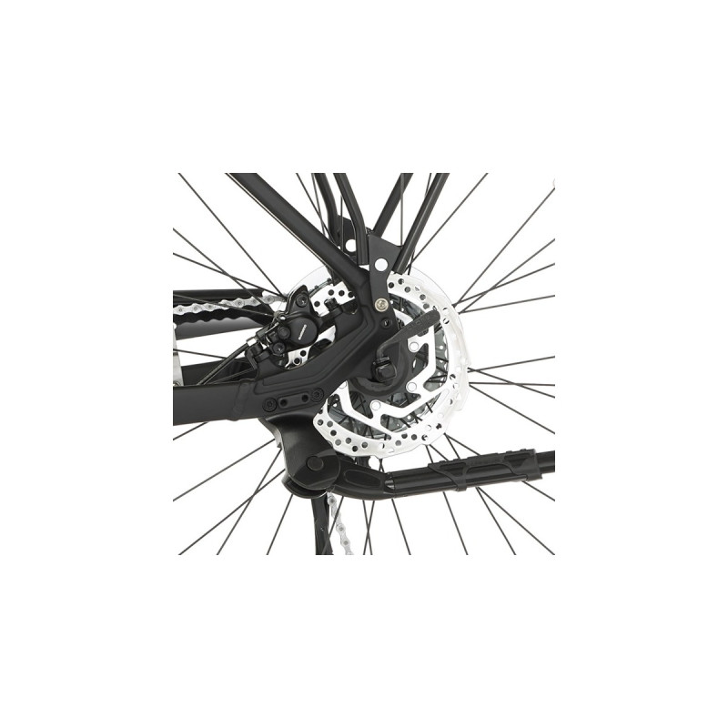 FISCHER Fahrrad Viator 4.2i Herren, Pedelec(schwarz, 28cm, 55 cm Rahmen)