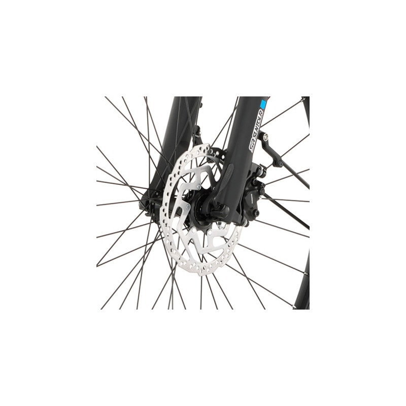 FISCHER Fahrrad Viator 4.2i, Pedelec(schwarz)