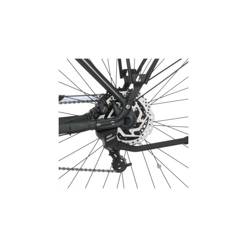 FISCHER Fahrrad Viator 5.0i Herren, Pedelec(grau, 50 cm Rahmen, 28