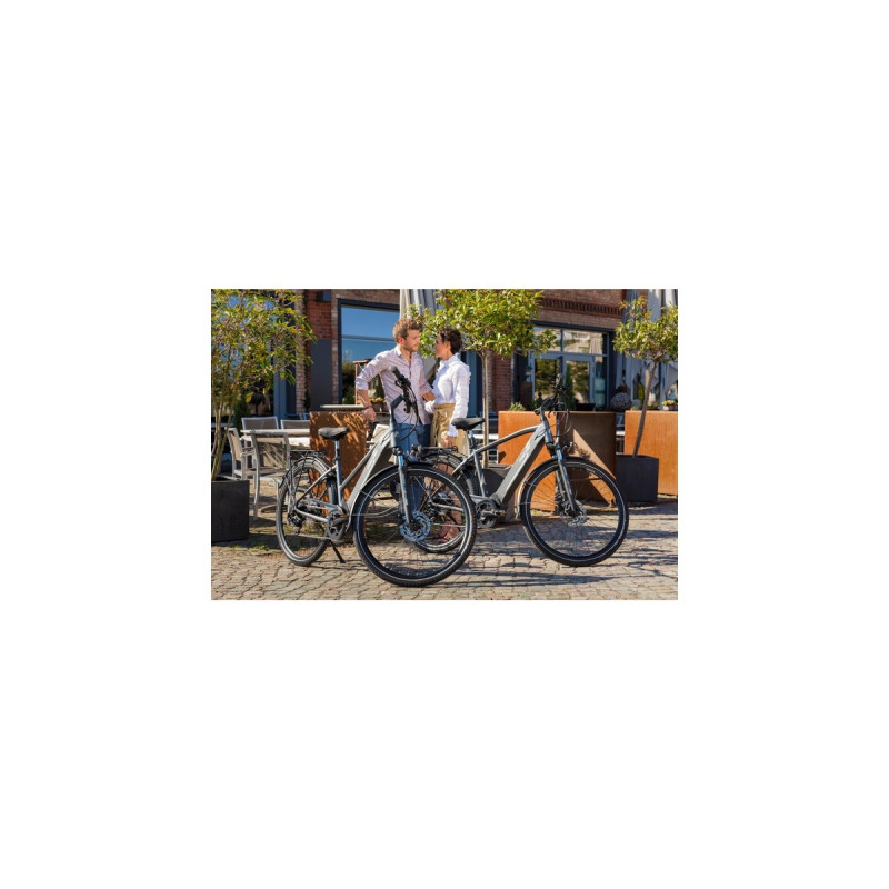 FISCHER Fahrrad Viator 5.0i Herren, Pedelec(grau, 55 cm Rahmen, 28