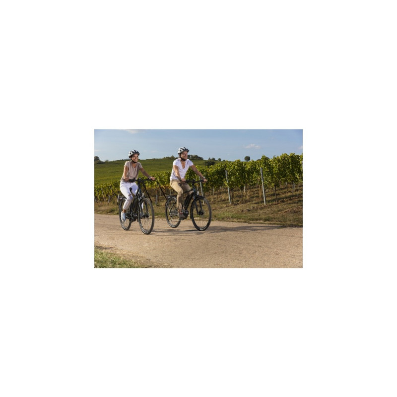 FISCHER Fahrrad Viator ETD 1861, Pedelec(schwarz (matt), 28