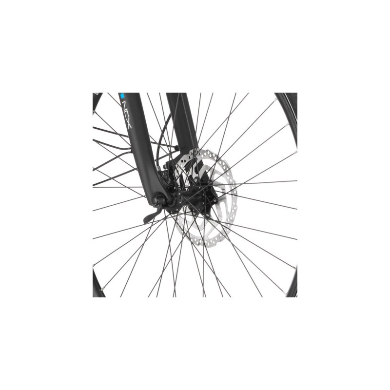 FISCHER Fahrrad Viator ETH 1861, Pedelec(schwarz (matt), 50 cm Rahmen, 28