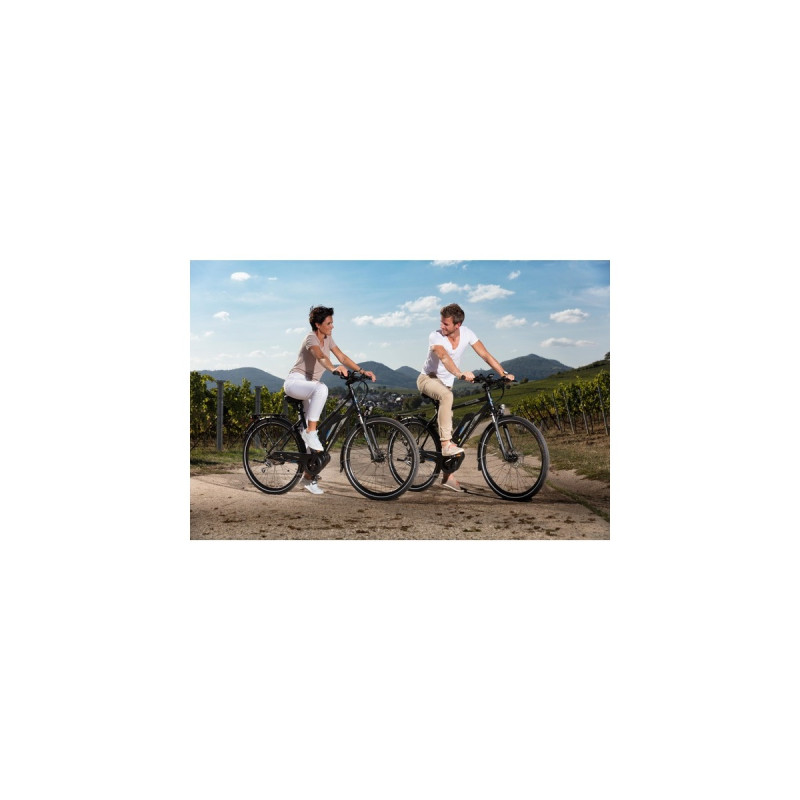 FISCHER Fahrrad Viator ETH 1861, Pedelec(schwarz (matt), 50 cm Rahmen, 28
