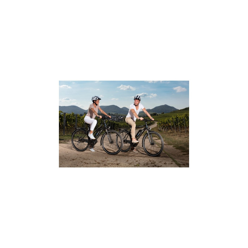 FISCHER Fahrrad Viator ETH 1861, Pedelec(schwarz (matt), 50 cm Rahmen, 28