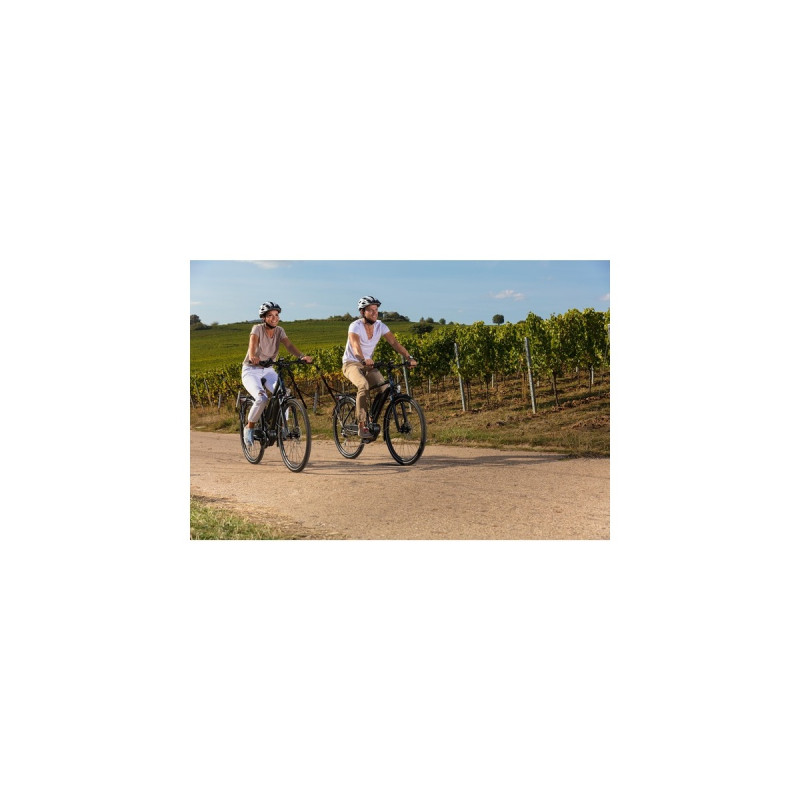 FISCHER Fahrrad Viator ETH 1861, Pedelec(schwarz (matt), 50 cm Rahmen, 28