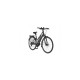 FISCHER Fahrrad Viator ETH 1861, Pedelec(schwarz (matt), 28