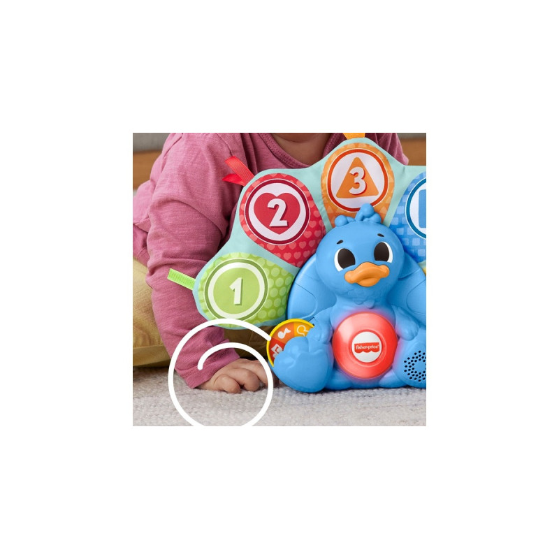 Fisher-Price BlinkiLinkis Zahlen & Farben Pfau, Geschicklichkeitsspiel