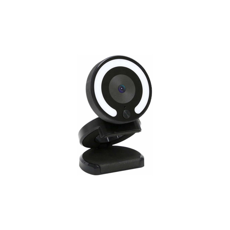 Foscam W28, Webcam(schwarz)
