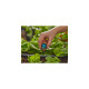 GARDENA Micro-Drip-System 6 in 1 Sprühdüse, 2 Stück(schwarz/türkis, Modell 2023)