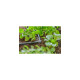 GARDENA Micro-Drip-System L-Stück 4,6mm (3/16