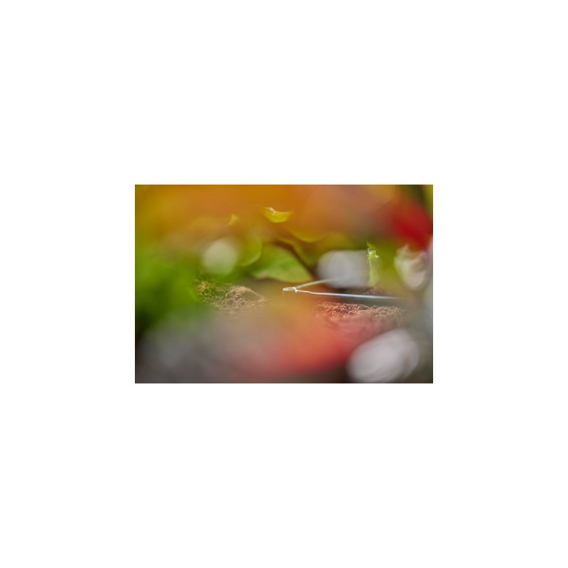 GARDENA Micro-Drip-System L-Stück 4,6mm (3/16