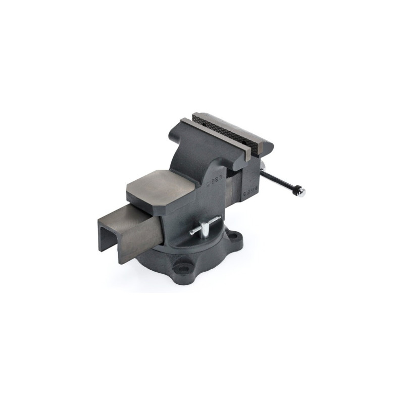 GEDORE red Parallel-Schraubstock, drehbar(schwarz, Spannbereich 125mm)