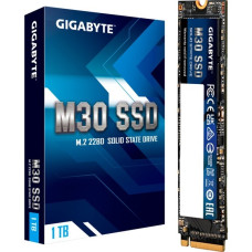 GIGABYTE M30 SSD 1 TB(PCIe 3.0 x4, NVMe 1.3, M.2 2280)