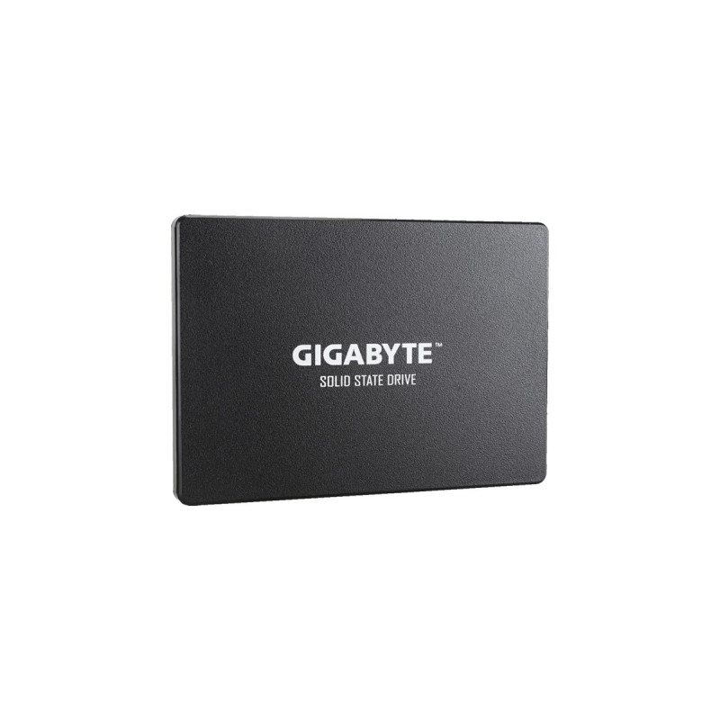 GIGABYTE SSD256 GB(schwarz, SATA 6 Gb/s, 2,5