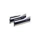 G.Skill DIMM 32 GB DDR5-5600 (2x 16 GB) Dual-Kit, Arbeitsspeicher(silber/schwarz, F5-5600J4040C16GX2-TZ5S, Trident Z5, INTEL XMP)